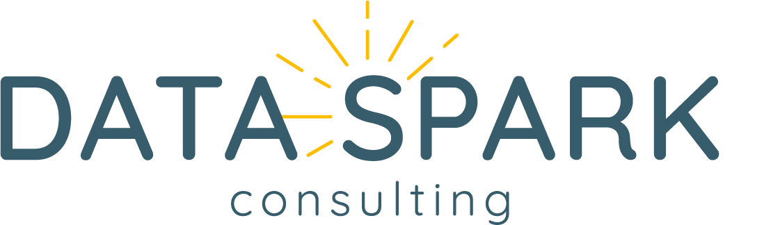 Data Spark logo
